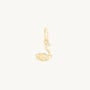 Avaline Make You Blue Swan Charm