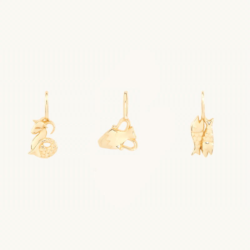 Avaline Tiniest Zodiac Charm