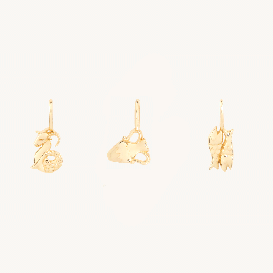 Avaline Tiniest Zodiac Charm