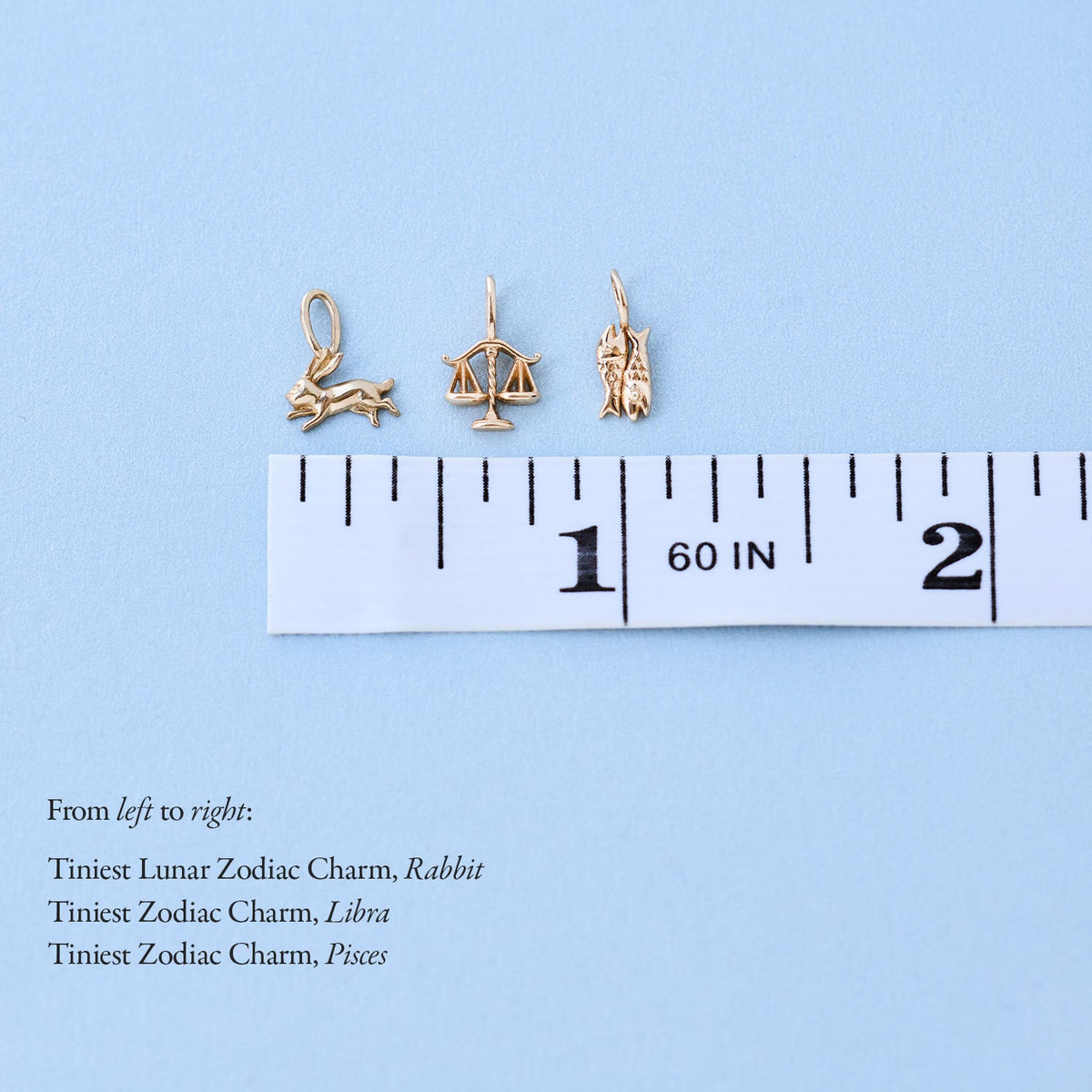 Avaline Tiniest Zodiac Charm
