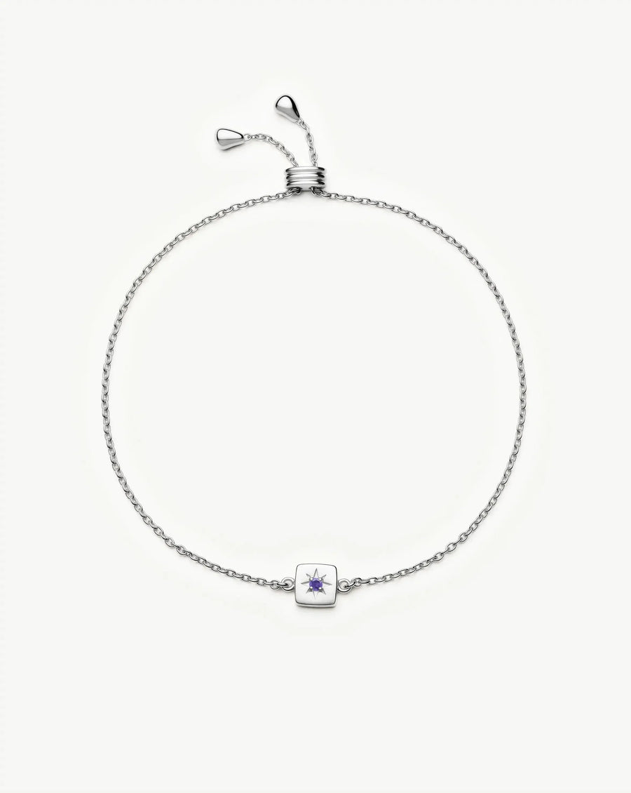 Avaline Feburary Birthstone Slider Bracelet
